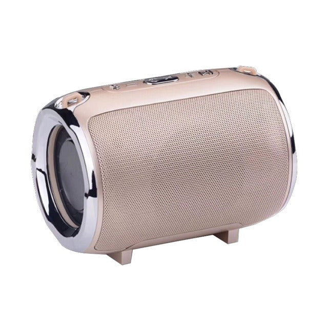 Altoparlante Bluetooth Portatile Anti-caduta con Subwoofer